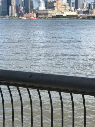 This is my life with Alzheimer_s now - Oct 10 - looking at a seagull in the Hudson River